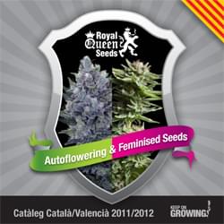 Catalonia Royal Queen Seeds feminizada cannabis catálogo de semillas