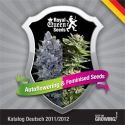 Alemania Royal Queen Seeds feminizada cannabis catálogo de semillas