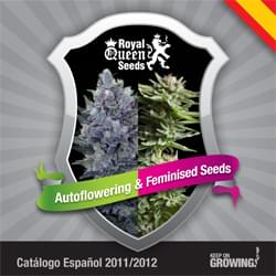 Español Royal Queen Seeds feminizada cannabis catálogo de semillas