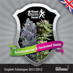 Inglés Royal Queen Seeds feminizada cannabis catálogo de semillas