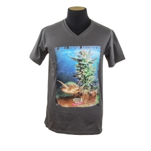 Royal Queen Seeds T-shirt Tortuga