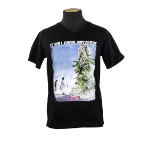 Camiseta Royal Queen Seeds T-shirt Pingüinos