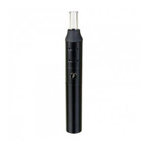 Vaporizador Storm Pen