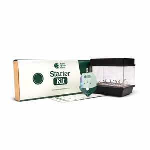 Starter Kit con híbridos F1