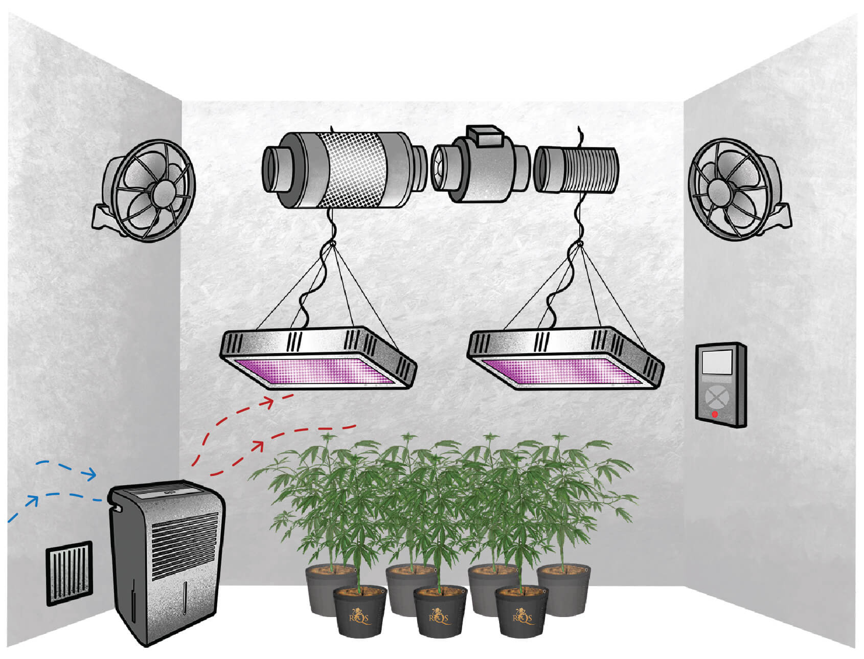 Cómo elegir el deshumidificador adecuado para cultivar marihuana