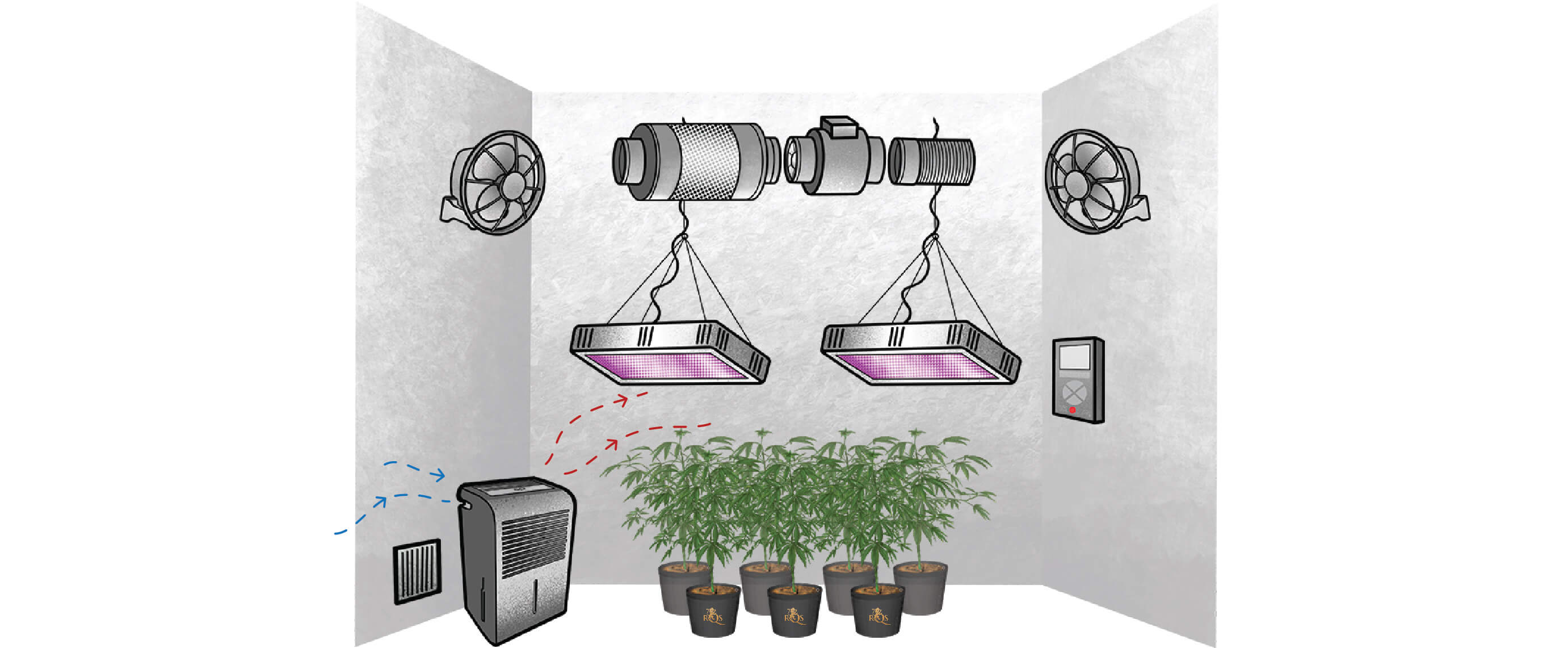 Cómo elegir el deshumidificador adecuado para cultivar marihuana