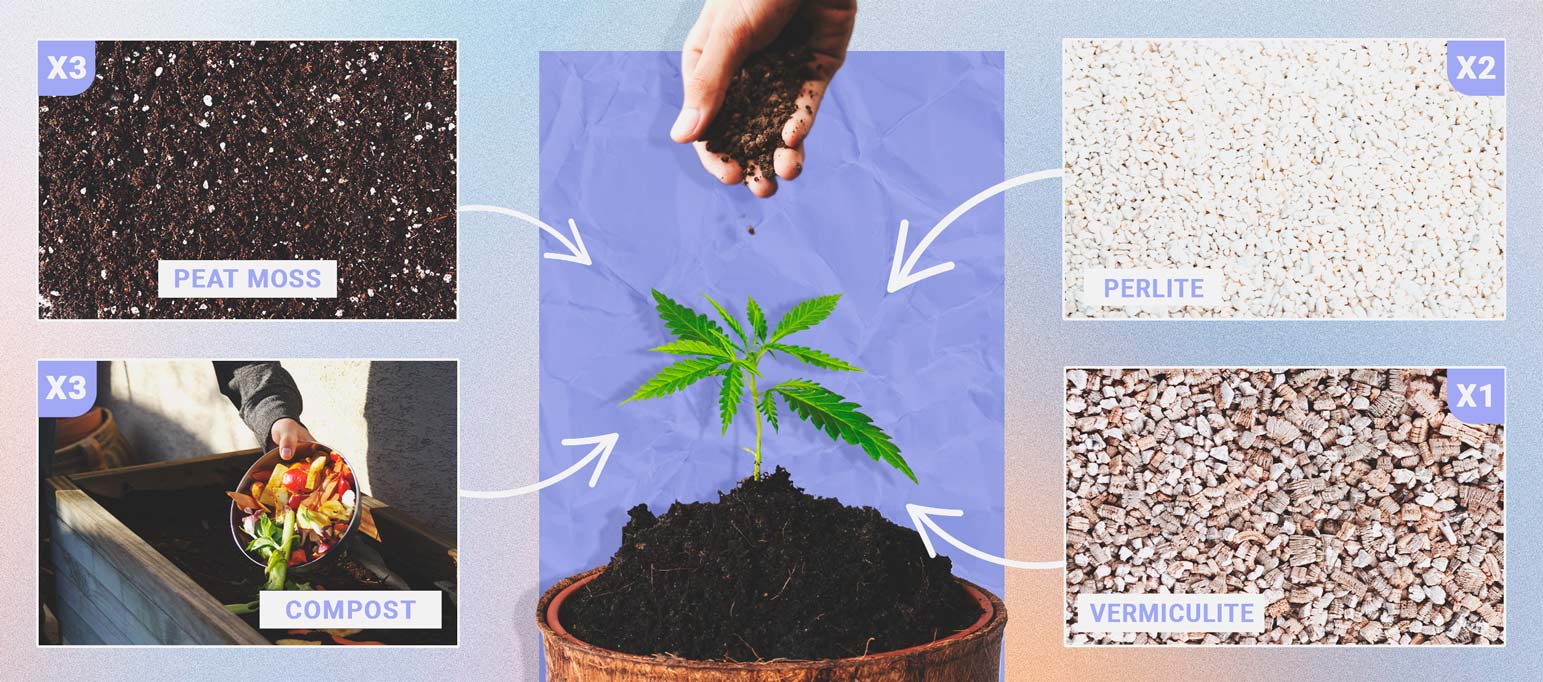La mejor tierra para cultivar cannabis autofloreciente