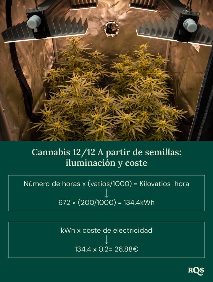 12-12 cannabis light cycle cost