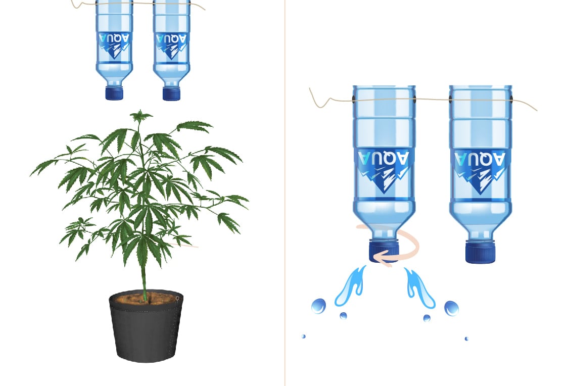 Monta tu propio sistema de irrigación por goteo para cultivar marihuana