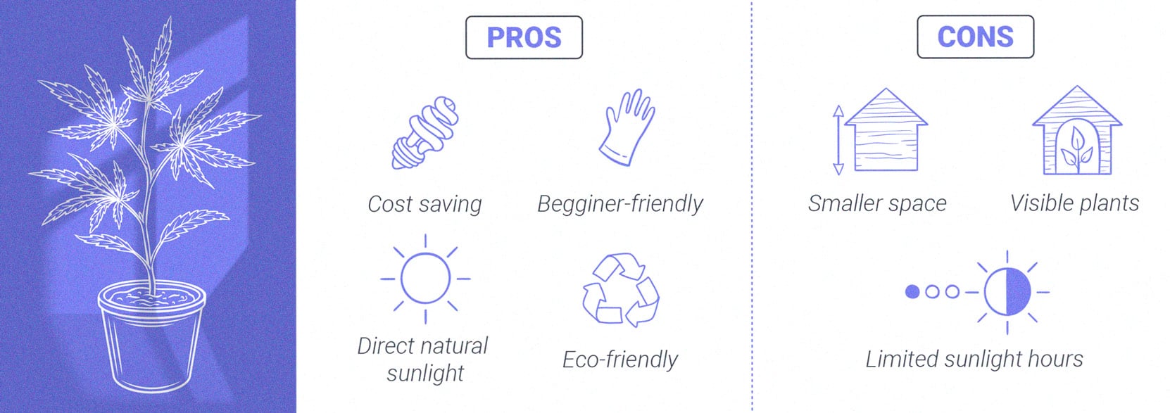 Cómo cultivar hierba con éxito en tu ventana