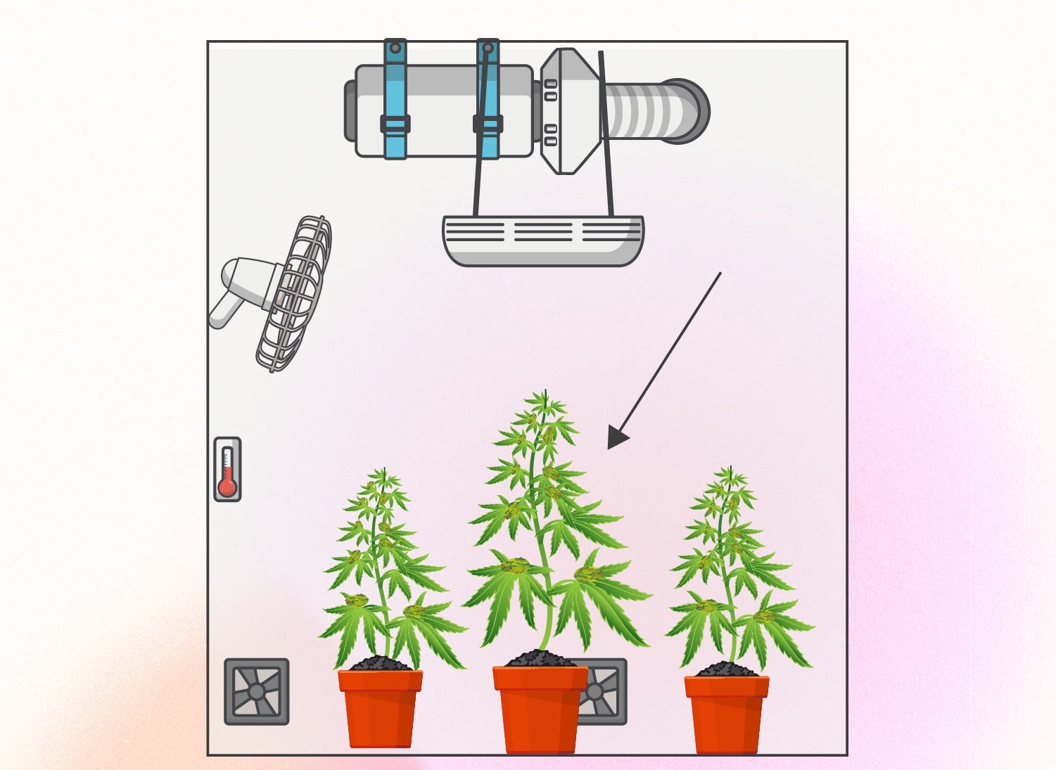 Técnica “monster cropping” para cannabis: guía paso a paso