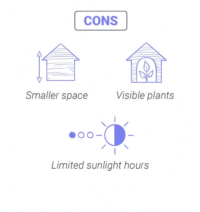 Cómo cultivar hierba con éxito en tu ventana