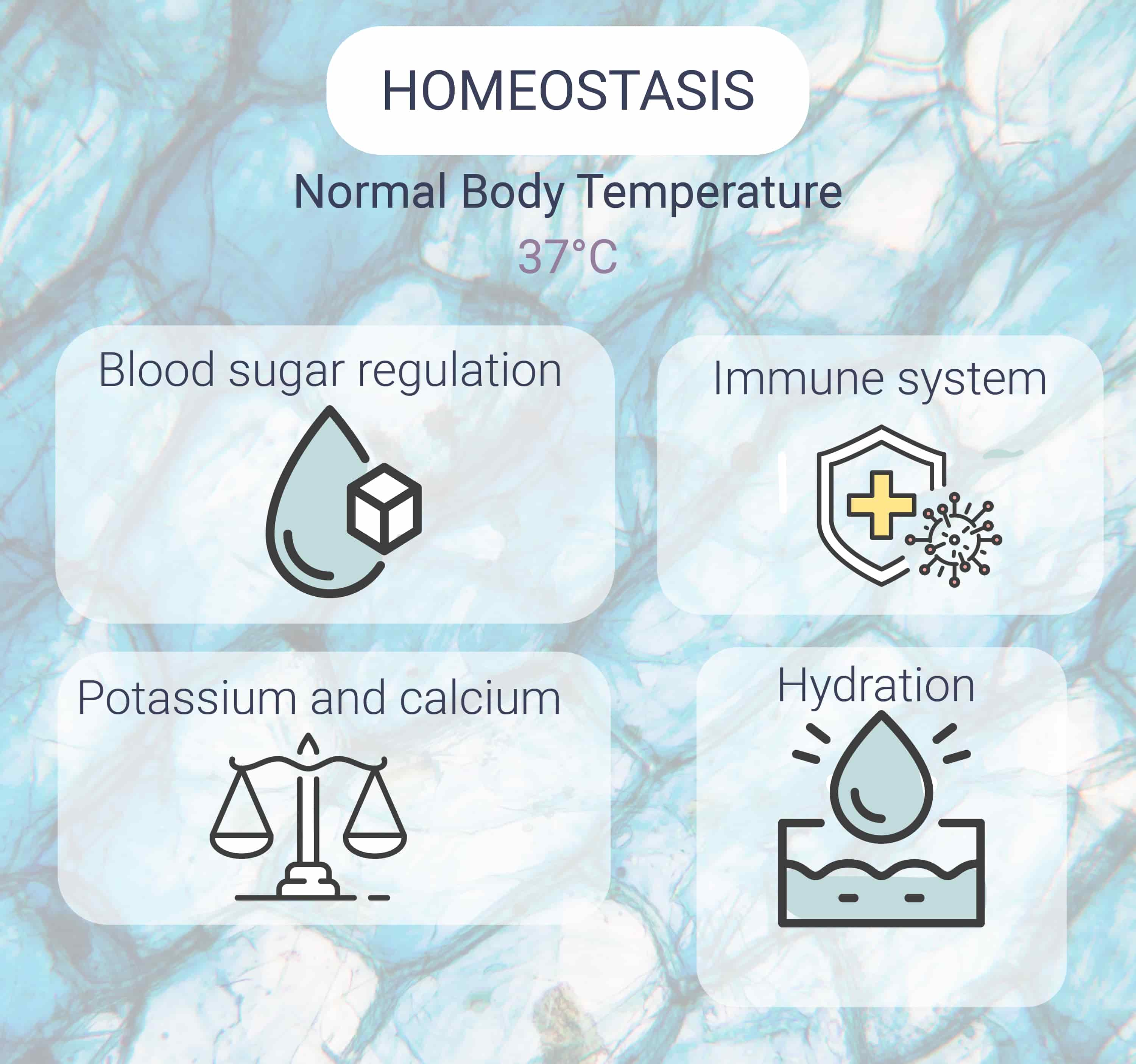 ¿Qué es la homeostasis?