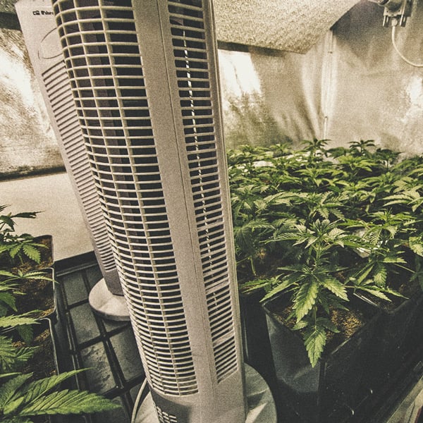 Cómo automatizar tu cultivo de marihuana