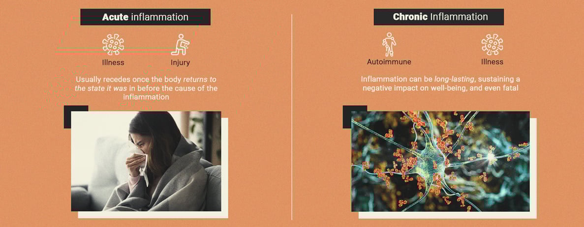 What Is Inflammation? What Is Inflammation?