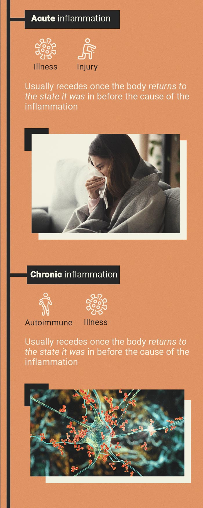 What Is Inflammation? What Is Inflammation?
