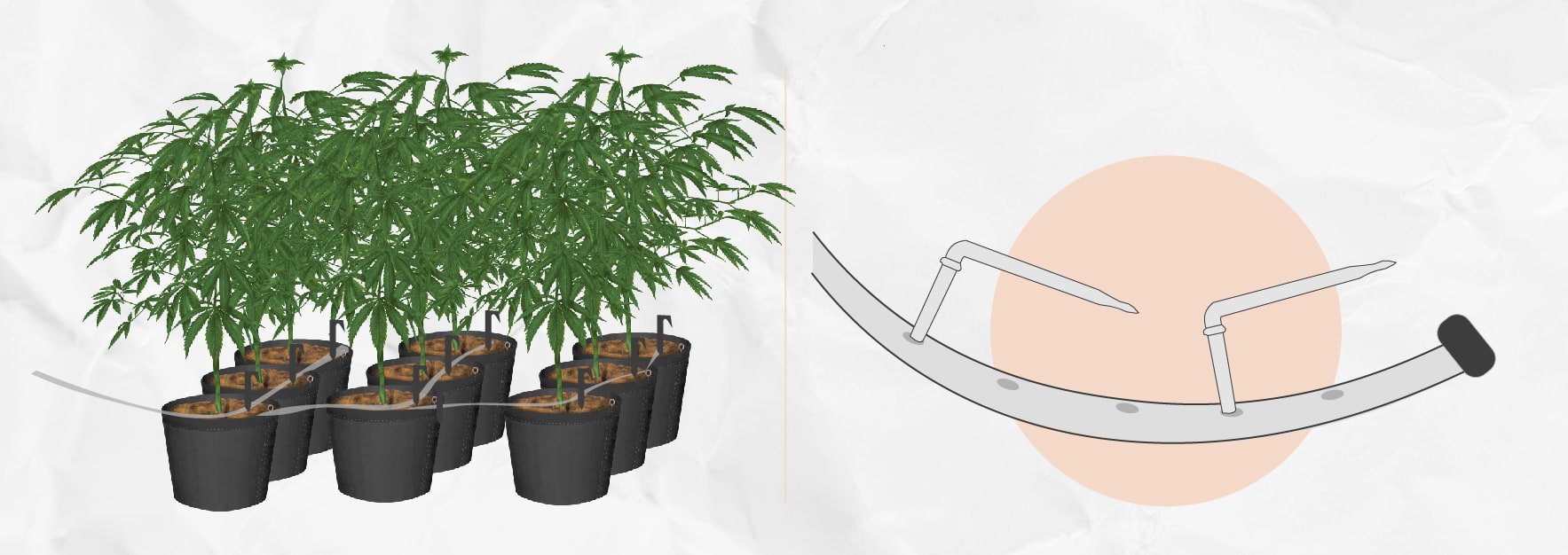 Monta tu propio sistema de irrigación por goteo para cultivar marihuana