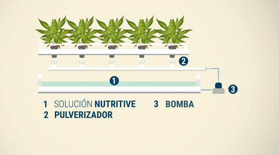 Aeroponía En Cultivos De Cannabis Aeroponía En Cultivos De Cannabis
