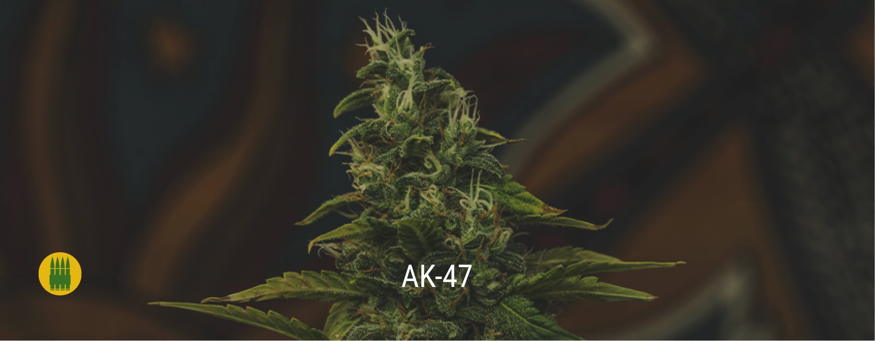 AK-47