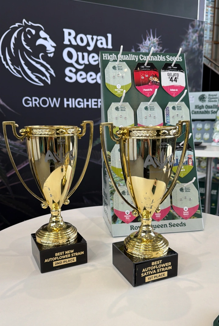 Trainwreck Auto y Gaia F1 ganan en la Autoflower World Cup Descubre Trainwreck Auto y Gaia F1, dos variedades de Royal Queen Seeds premiadas en la Autoflower World Cup 2026.