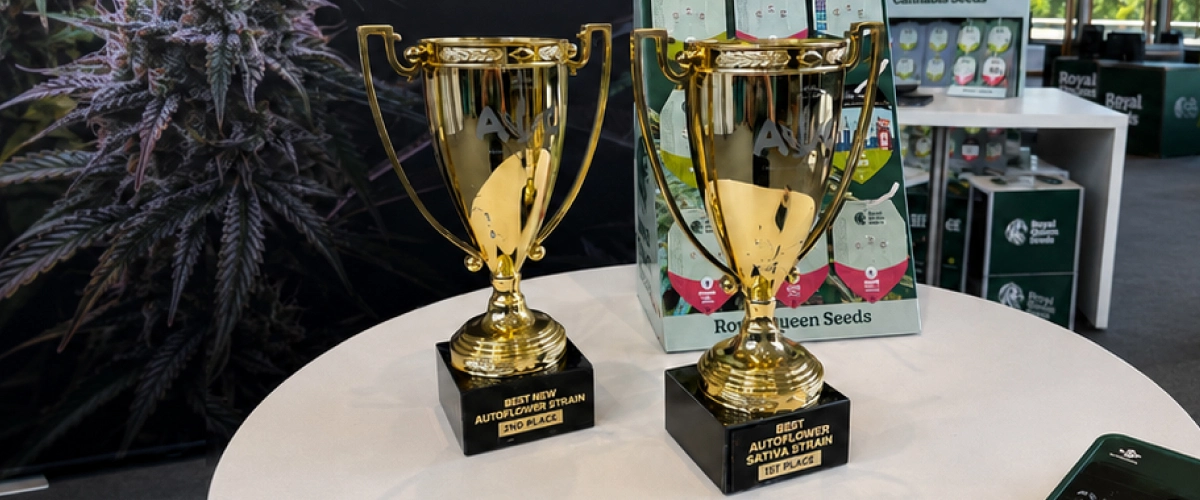 Trainwreck Auto y Gaia F1 ganan en la Autoflower World Cup Descubre Trainwreck Auto y Gaia F1, dos variedades de Royal Queen Seeds premiadas en la Autoflower World Cup 2026.