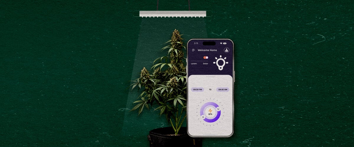 Funciones Avanzadas a Considerar Cannabis Una ilustración de una planta de cannabis bajo una luz de cultivo con un smartphone mostrando una aplicación de control, sobre un fondo verde, destacando funciones avanzadas a considerar.