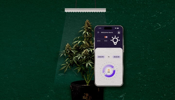 Funciones Avanzadas a Considerar Cannabis Una ilustración de una planta de cannabis bajo una luz de cultivo con un smartphone mostrando una aplicación de control, sobre un fondo verde, destacando funciones avanzadas a considerar.