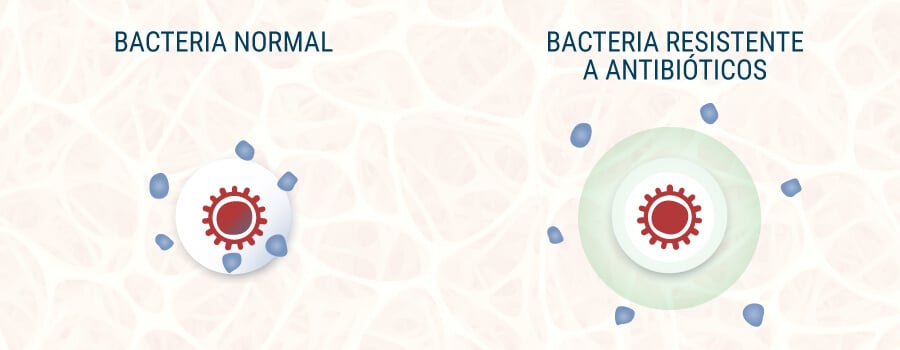 Bacteria Normal y Bacteria Resistente a Antibióticos