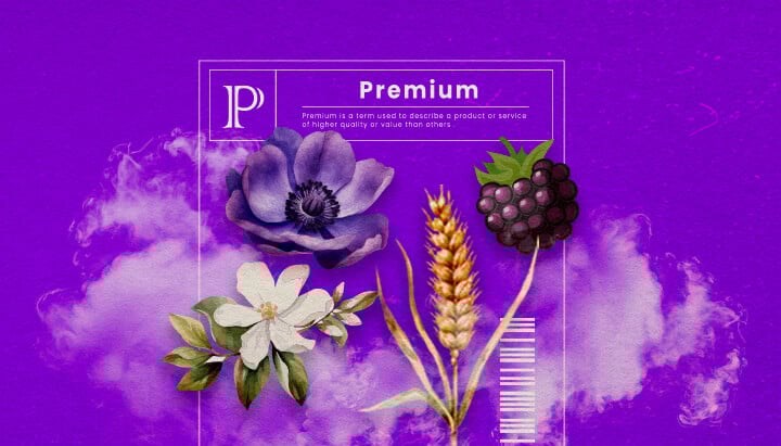 Guía de Información de la Cepa de Cannabis Granddaddy Purple Una ilustración de cogollos de cannabis Granddaddy Purple con tonos morados profundos y estructura densa, destacando sus rasgos híbridos dominantes indica y su aroma dulce a uva, sobre un fondo verde.