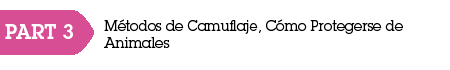 Camuflaje Cannabis