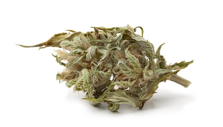 ¿Qué es la marihuana de baja calidad? ¿Qué es la marihuana de baja calidad?