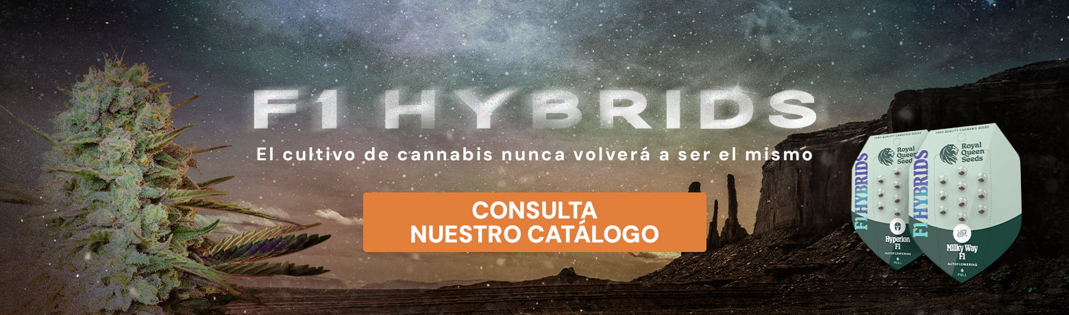 Buy F1 Hybrids Buy F1 Hybrids