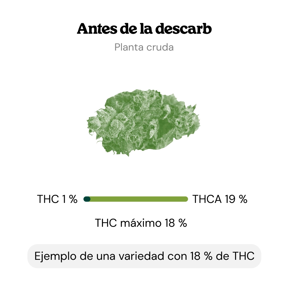 Descarboxilación