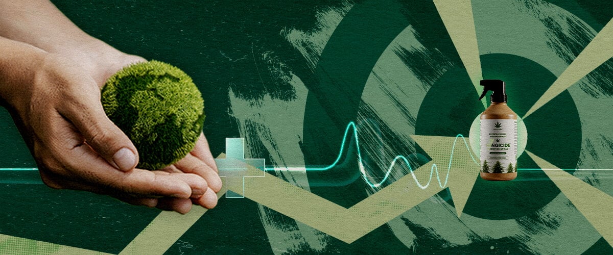 Protección Vegetal Sostenible: Los Beneficios Específicos de los Fungicidas a Base de Cannabis Manos nutriendo una esfera verde sana junto a un fungicida orgánico, representando una protección vegetal específica y sostenible con extractos de cannabis.