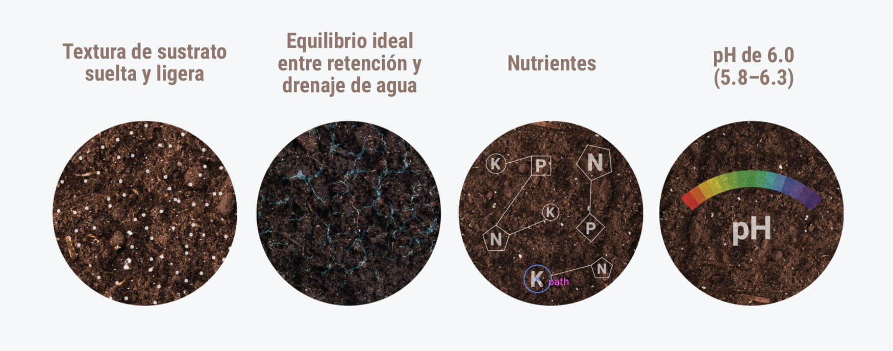 ¿Cuál Es La Mejor Tierra Para Cultivar Marihuana? ¿Cuál Es La Mejor Tierra Para Cultivar Marihuana?