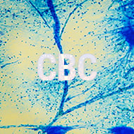 CBC