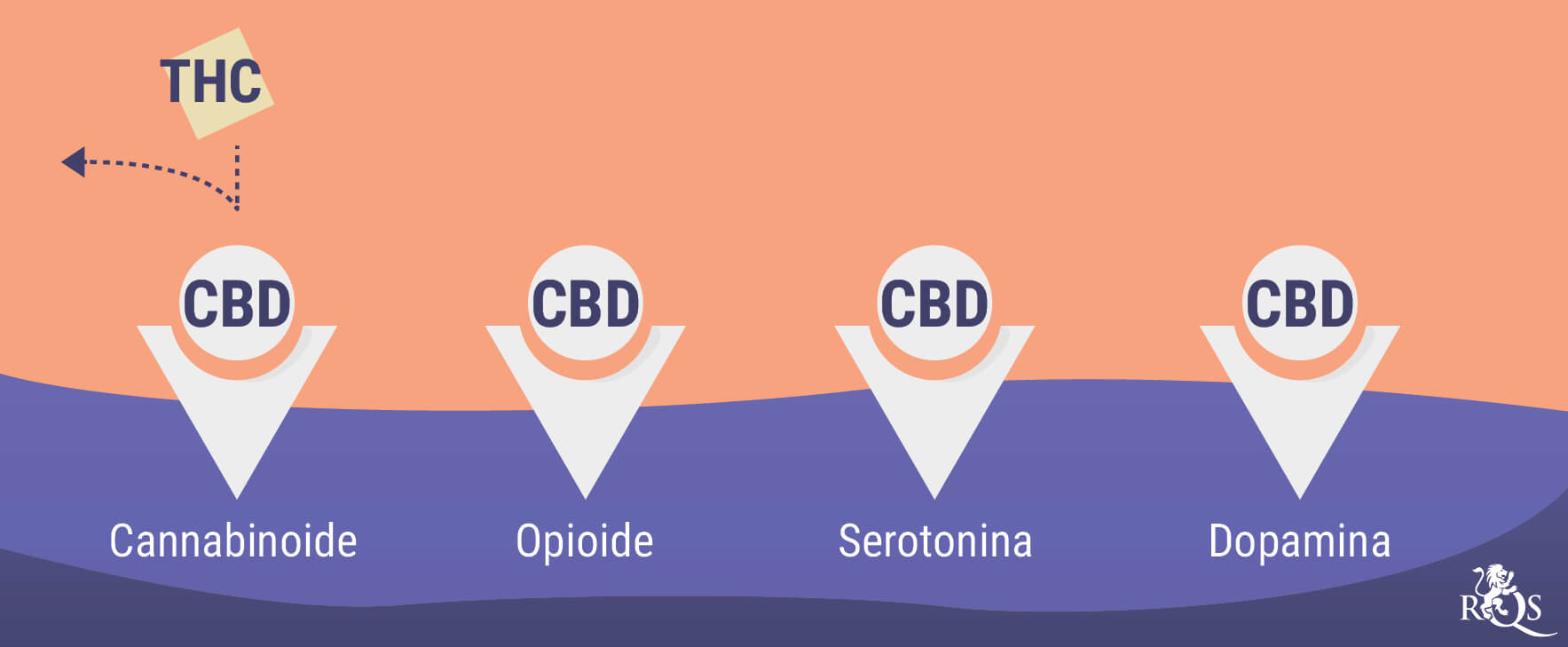 Marihuana y salud mental: una relación complicada