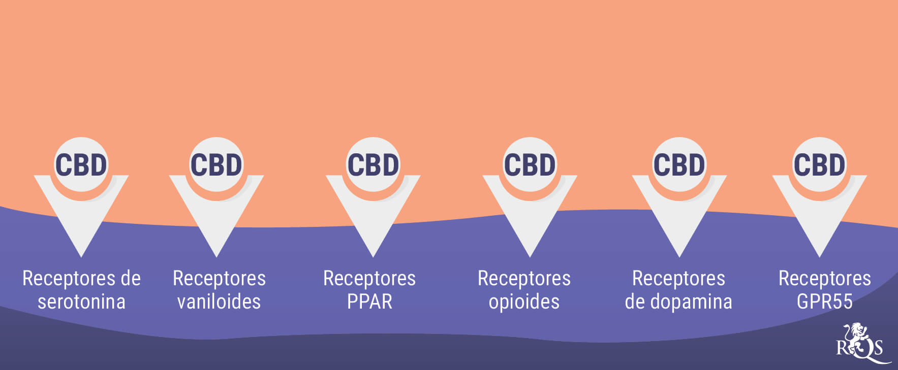 Cómo interactúa la marihuana con los antidepresivos