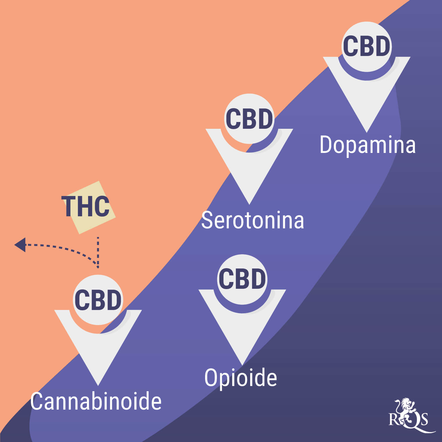 Marihuana y salud mental: una relación complicada