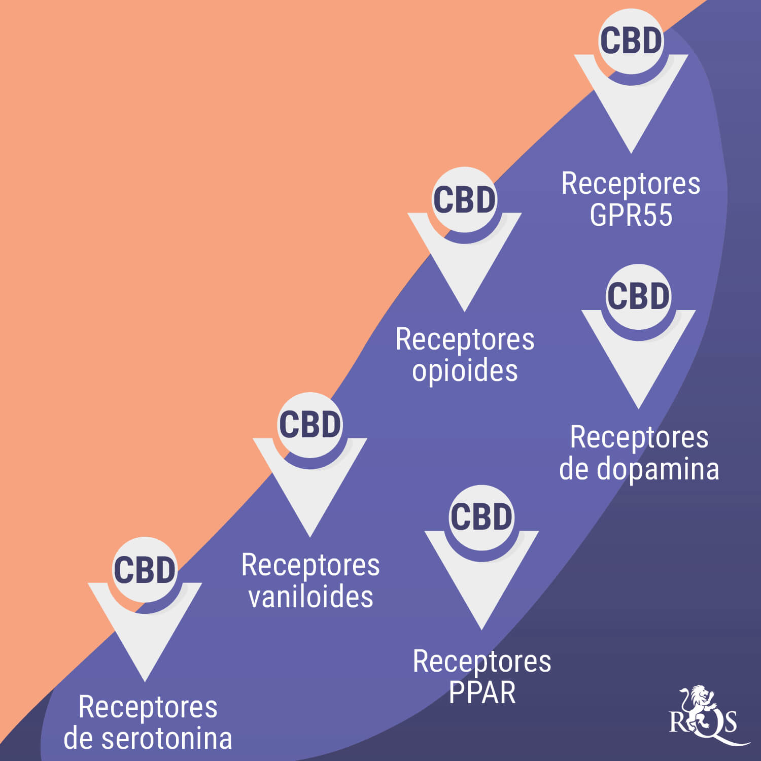 How Cannabis Interacts With Antidepressants