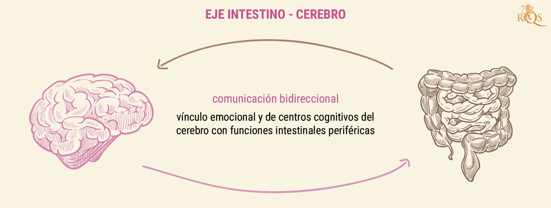 ¿Por qué es importante la salud intestinal?