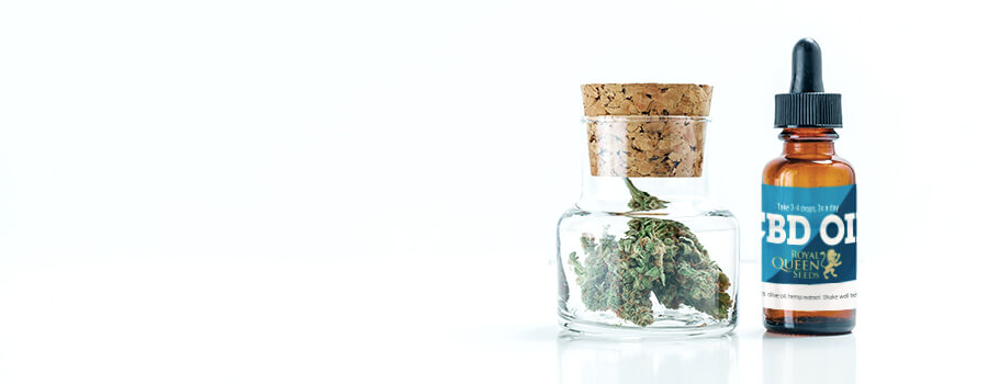 Tratamiento De Aceite De Cbd Para La Enfermedad De Lyme Tratamiento De Aceite De Cbd Para La Enfermedad De Lyme