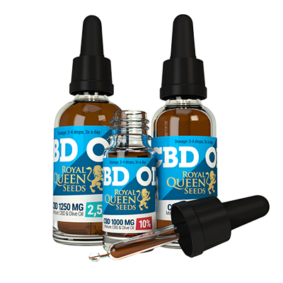 Cannabis CBD oil 