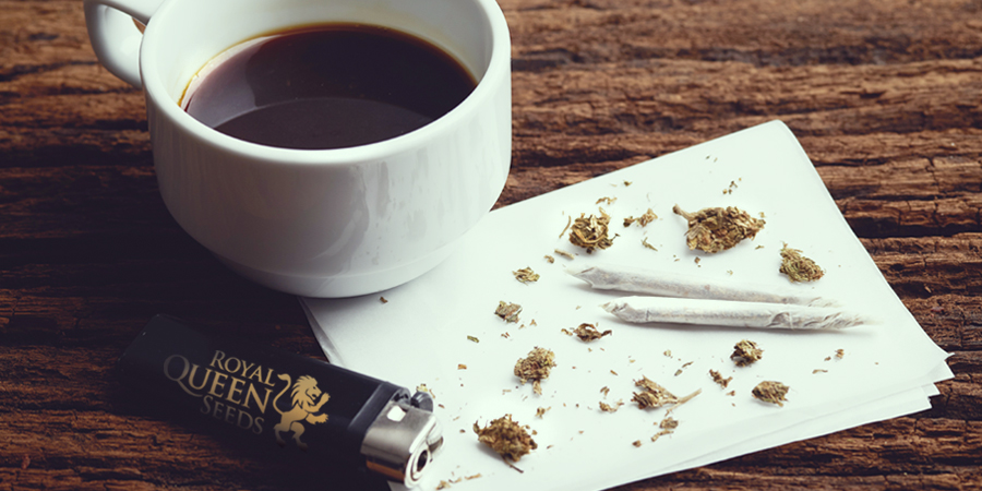 CANNABIS ROYAL QUEEN SEEDS cafe