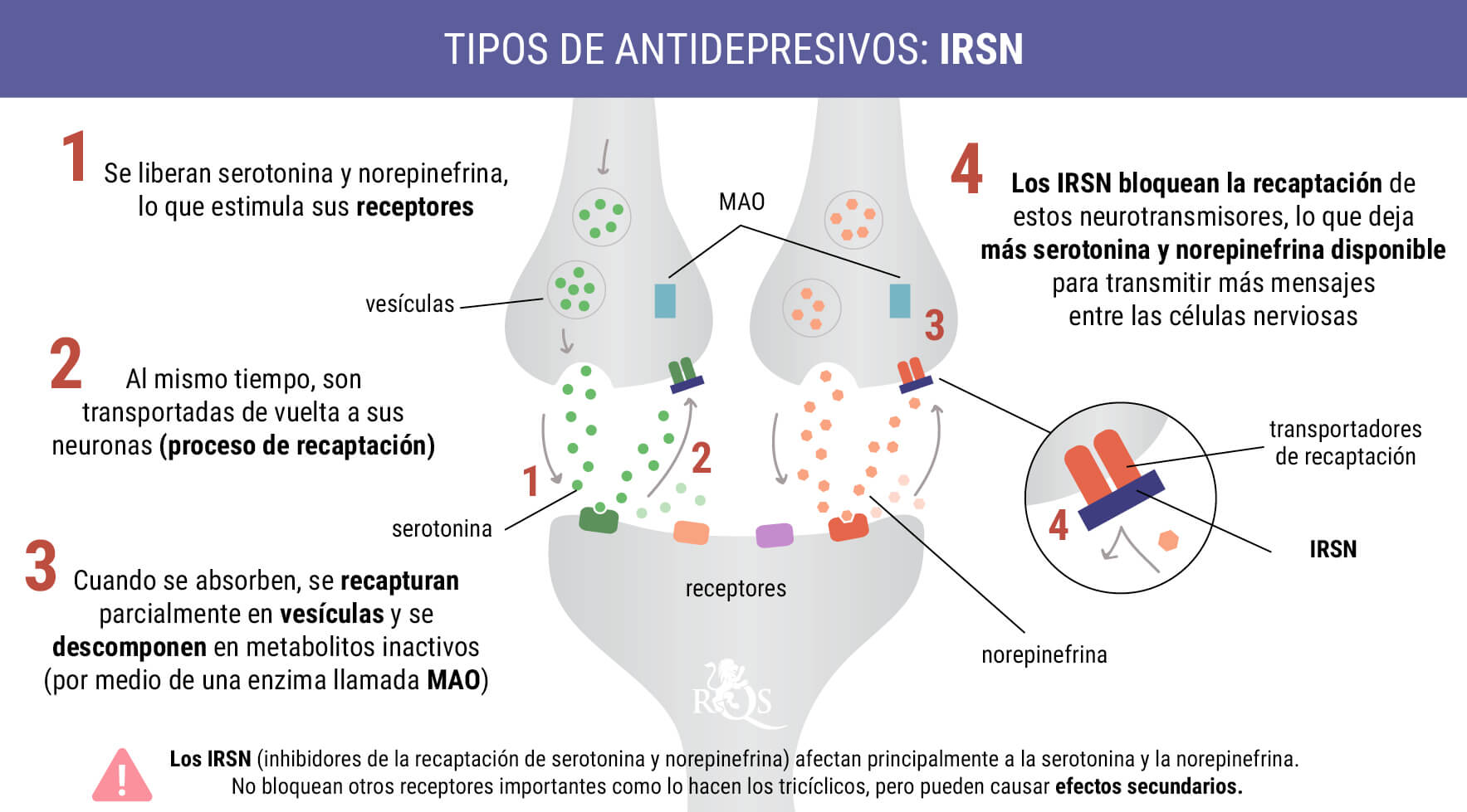 IRSN IRSN