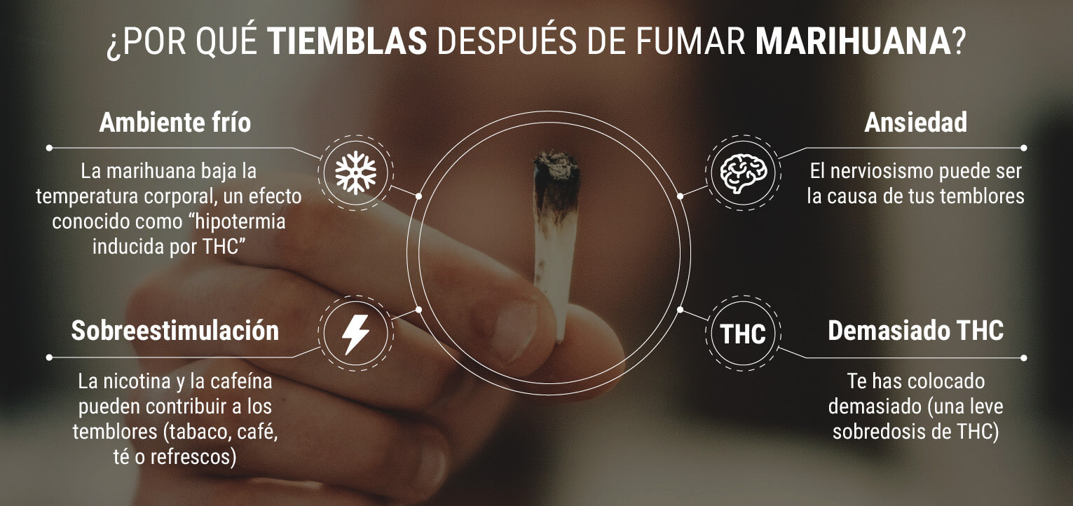 ¿Por qué tiemblas después de fumar cannabis?