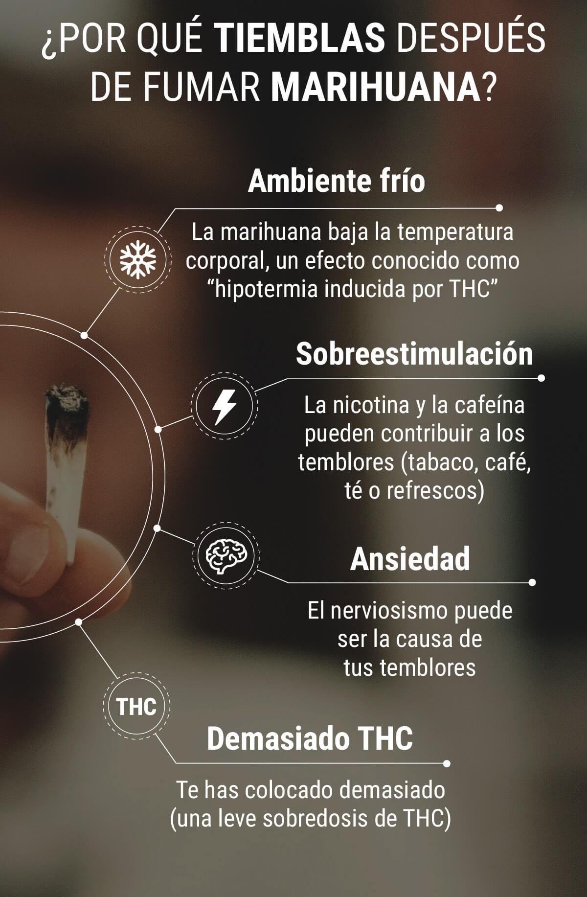 ¿Por qué tiemblas después de fumar cannabis? ¿Por qué tiemblas después de fumar cannabis?