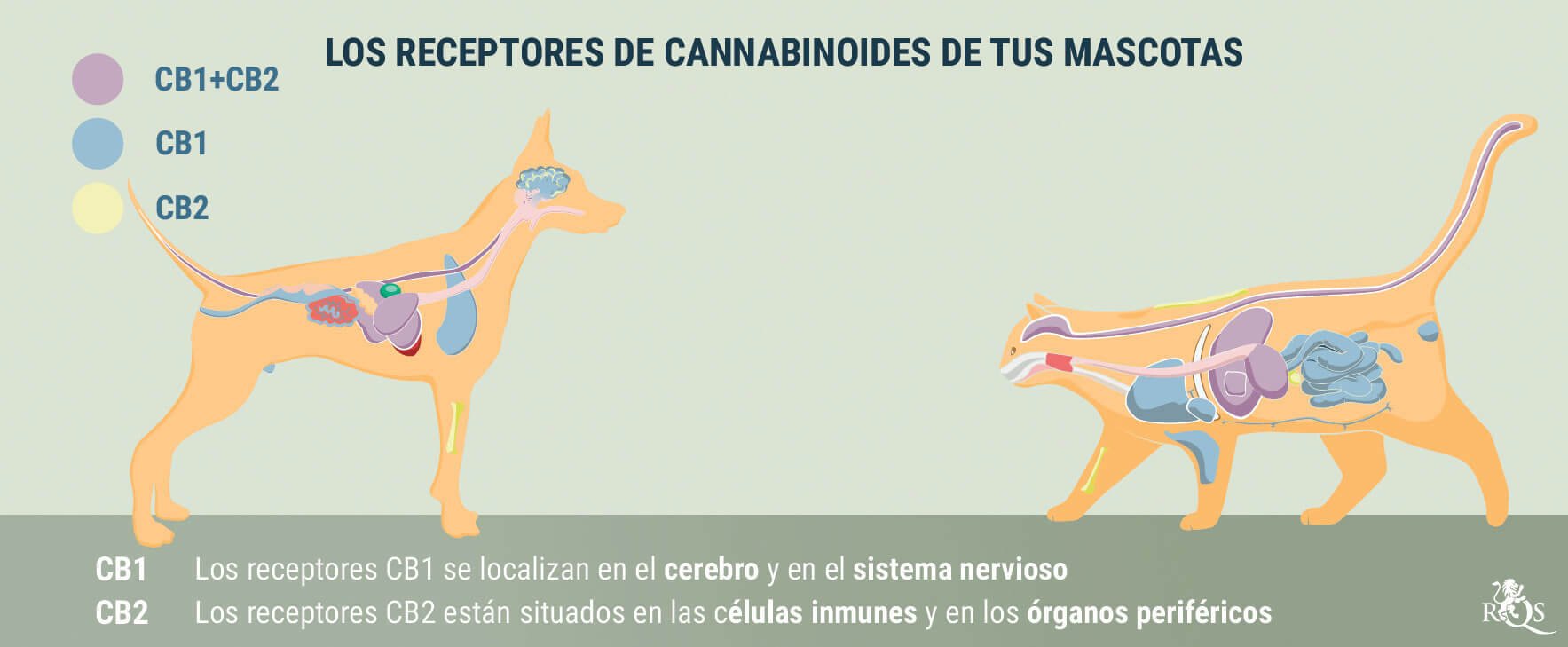Medical Cannabis for Dogs and Cats