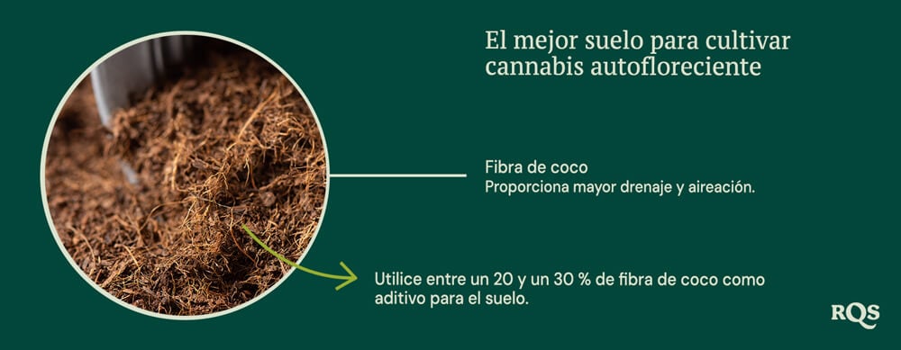 Coco coir for growing autoflowers