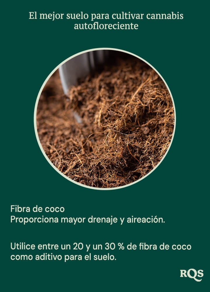 Coco coir for growing autoflowers